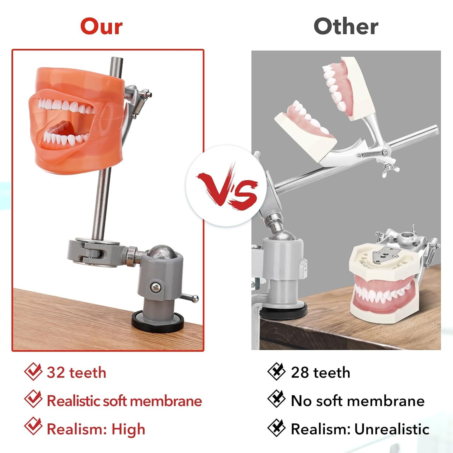 New Dental Simulator Mannequin Head Teeth Model Typodont Model &Teeth Mount Pole