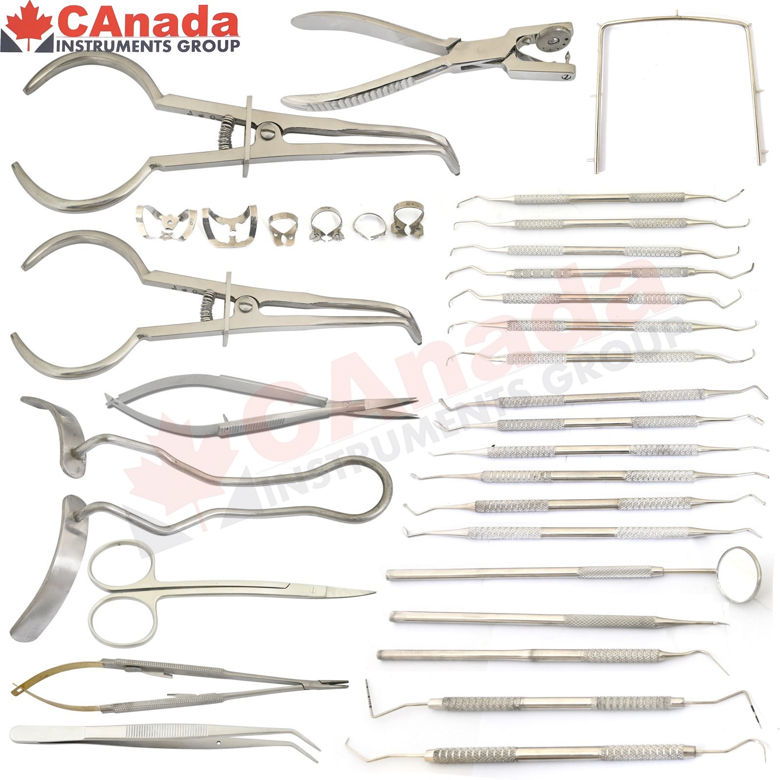 Dental Implant Set Dental Filling Scaler Root Canal Scaling Cuettes Dam Clamps