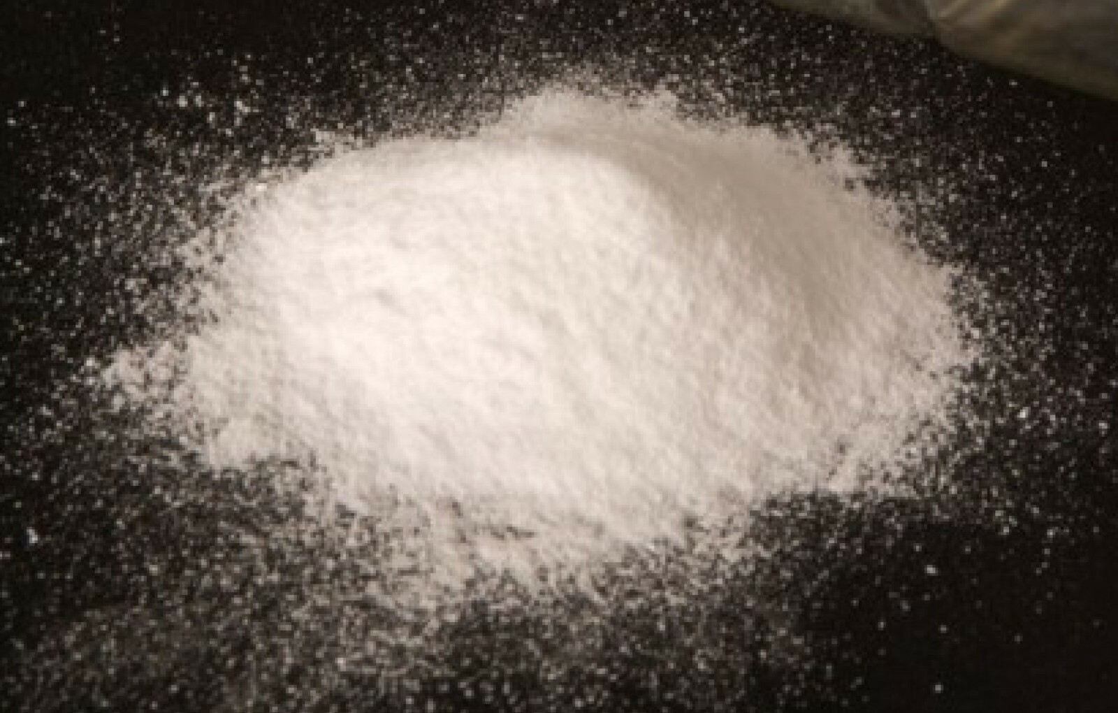 NEW 10 lbs Purified Terephthalic Acid PTA 4500g WEGO Chemical TPA TA 100-21-0